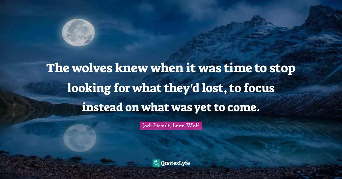 The wolves knew when it was time to stop looking for what they'd lost, to focus instead on what was yet to come.