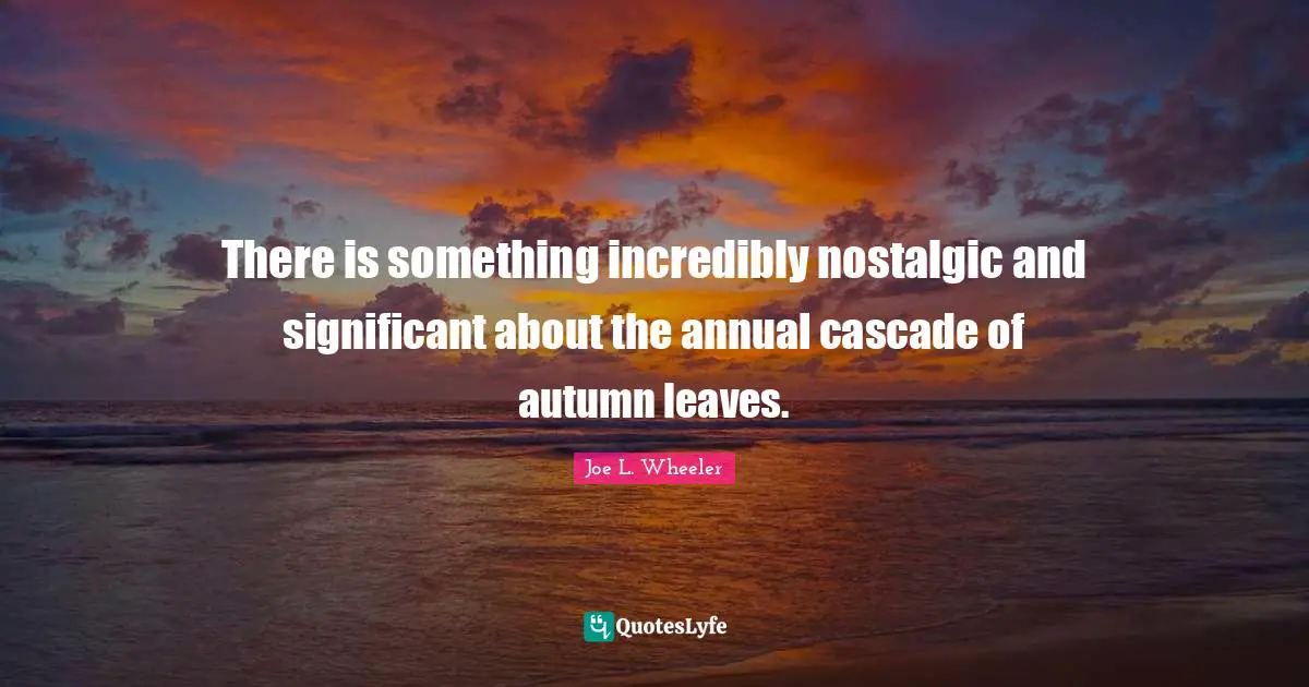 There is something incredibly nostalgic and significant about the annual cascade of autumn leaves.