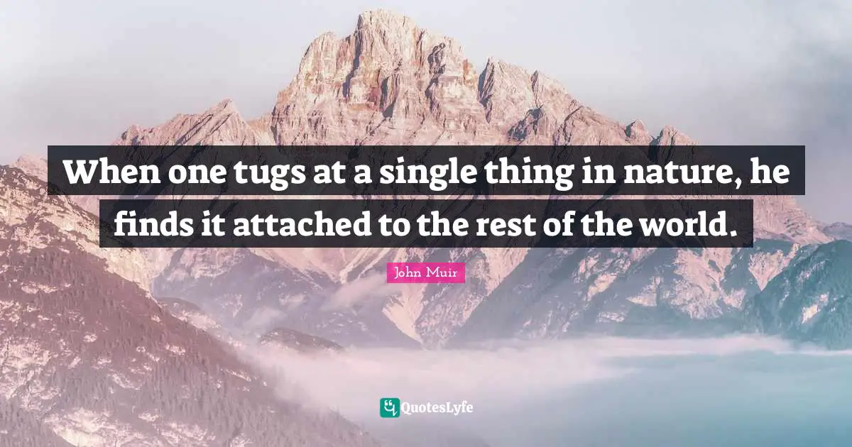 When one tugs at a single thing in nature, he finds it attached to the rest of the world.