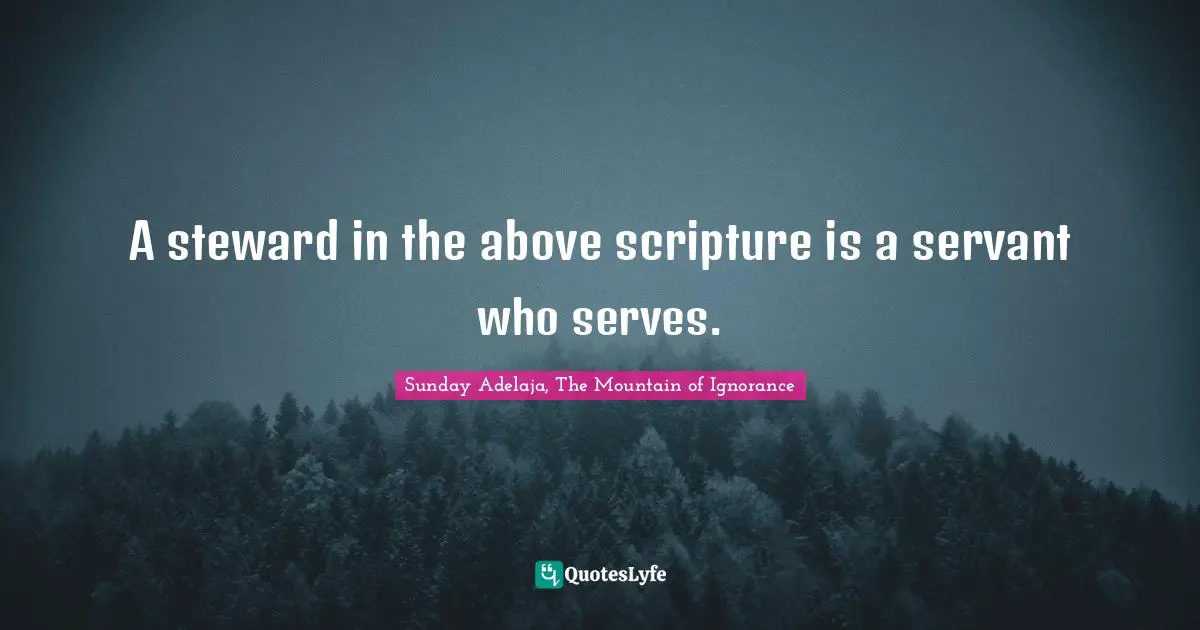 A steward in the above scripture is a servant who serves.