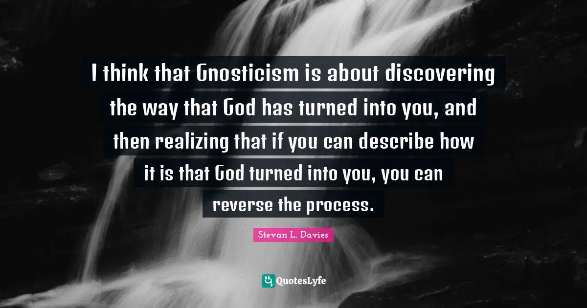 I think that Gnosticism is about discovering the way that God has turned into you, and then realizing that if you can describe how it is that God turned into you, you can reverse the process.