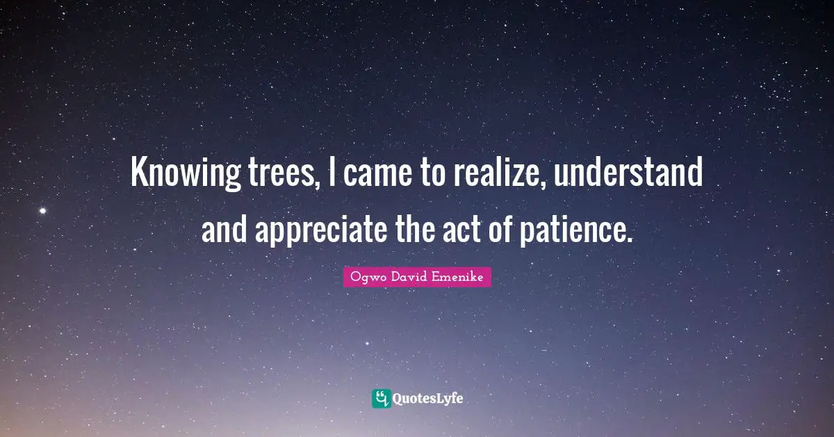 Knowing trees, I came to realize, understand and appreciate the act of patience.