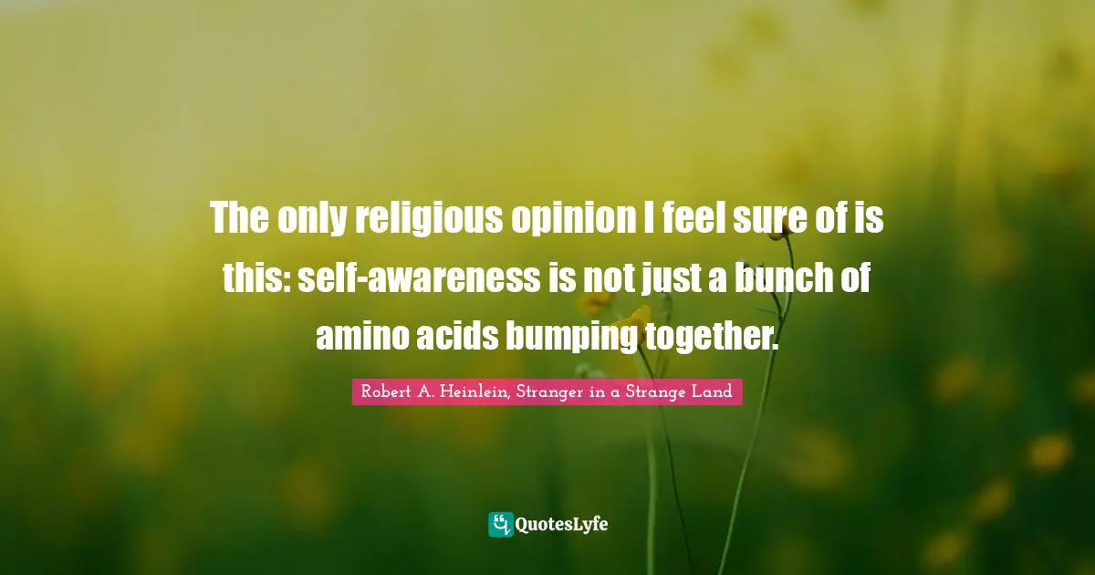 The only religious opinion I feel sure of is this: self-awareness is not just a bunch of amino acids bumping together.