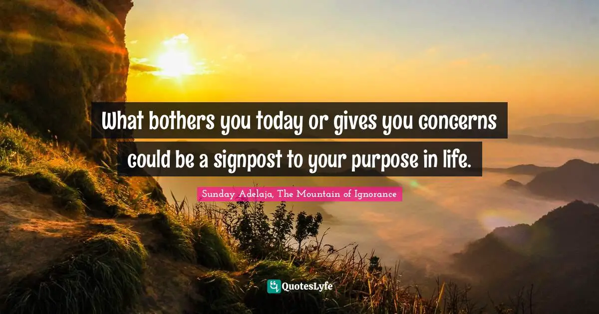 What bothers you today or gives you concerns could be a signpost to your purpose in life.