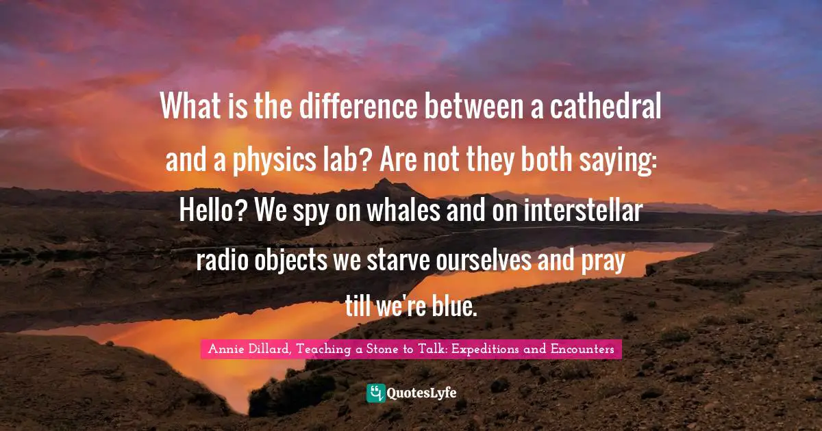 What is the difference between a cathedral and a physics lab? Are not they both saying: Hello? We spy on whales and on interstellar radio objects we starve ourselves and pray till we're blue.