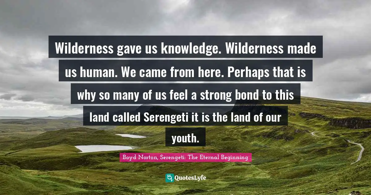 Wilderness gave us knowledge. Wilderness made us human. We came from here. Perhaps that is why so many of us feel a strong bond to this land called Serengeti it is the land of our youth.