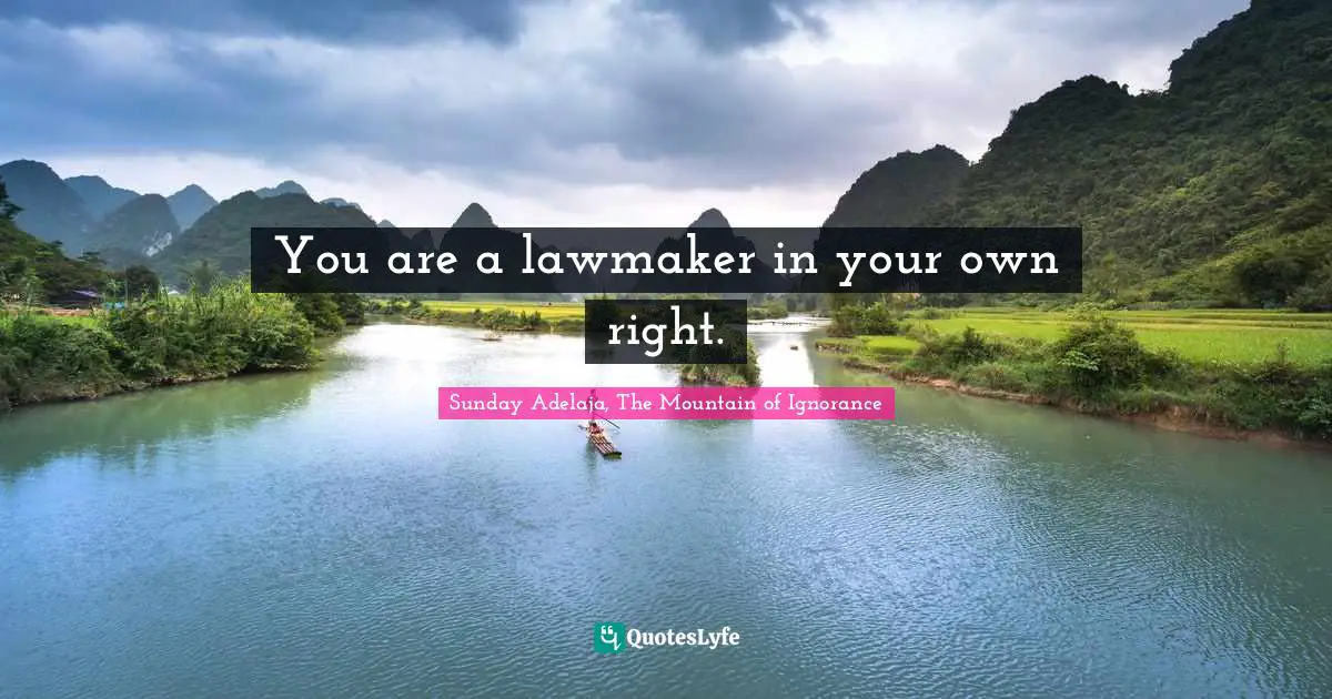 You are a lawmaker in your own right.