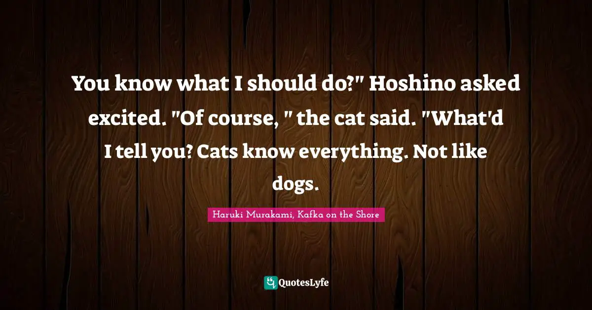 Haruki Murakami, Kafka On The Shore Quotes: "You know what I should do?" Hoshino asked excited. "Of course, " the cat said. "What'd I tell you? Cats know everything. Not like dogs."