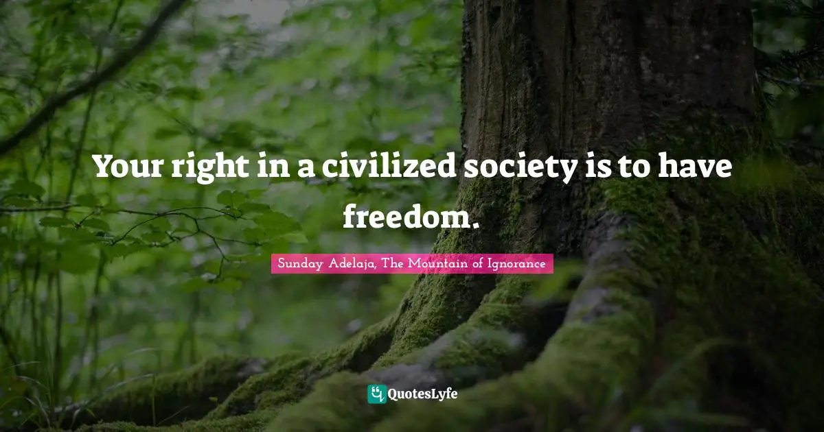 Your right in a civilized society is to have freedom.