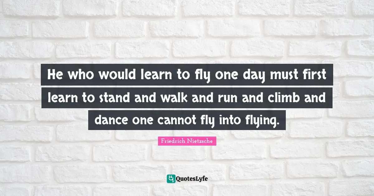 He who would learn to fly one day must first learn to stand and walk and run and climb and dance one cannot fly into flying.