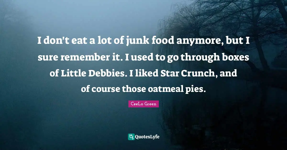 I don't eat a lot of junk food anymore, but I sure remember it. I used to go through boxes of Little Debbies. I liked Star Crunch, and of course those oatmeal pies.
