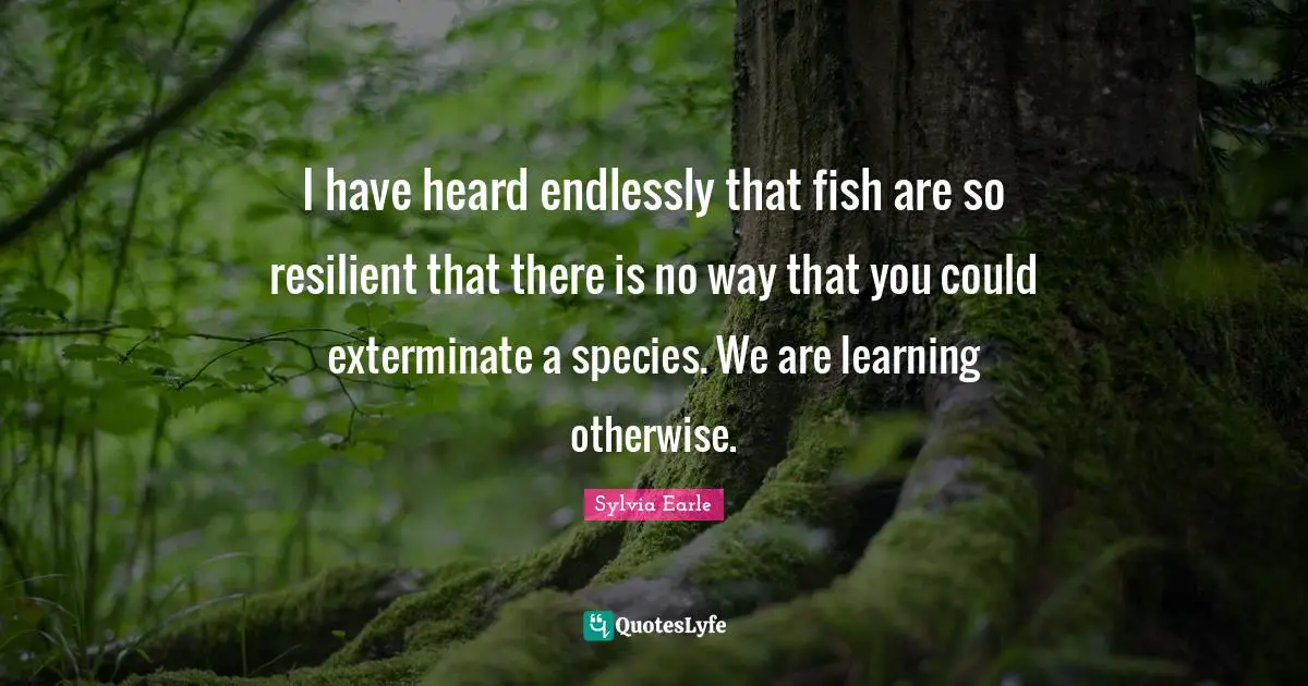 I have heard endlessly that fish are so resilient that there is no way that you could exterminate a species. We are learning otherwise.