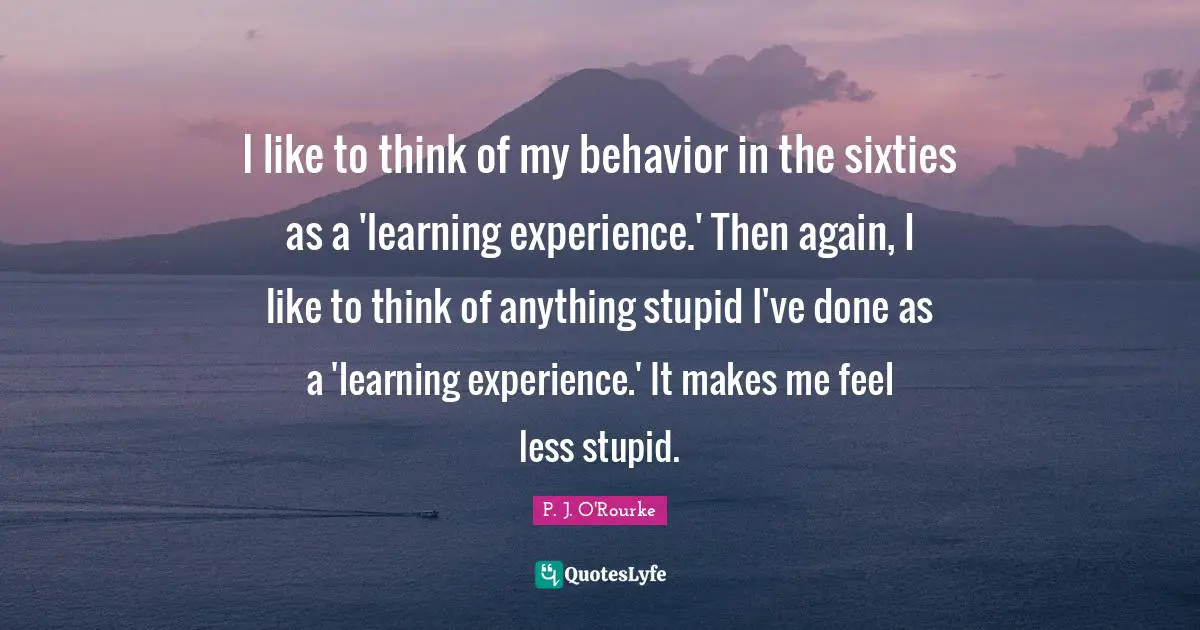 I like to think of my behavior in the sixties as a 'learning experience.' Then again, I like to think of anything stupid I've done as a 'learning experience.' It makes me feel less stupid.