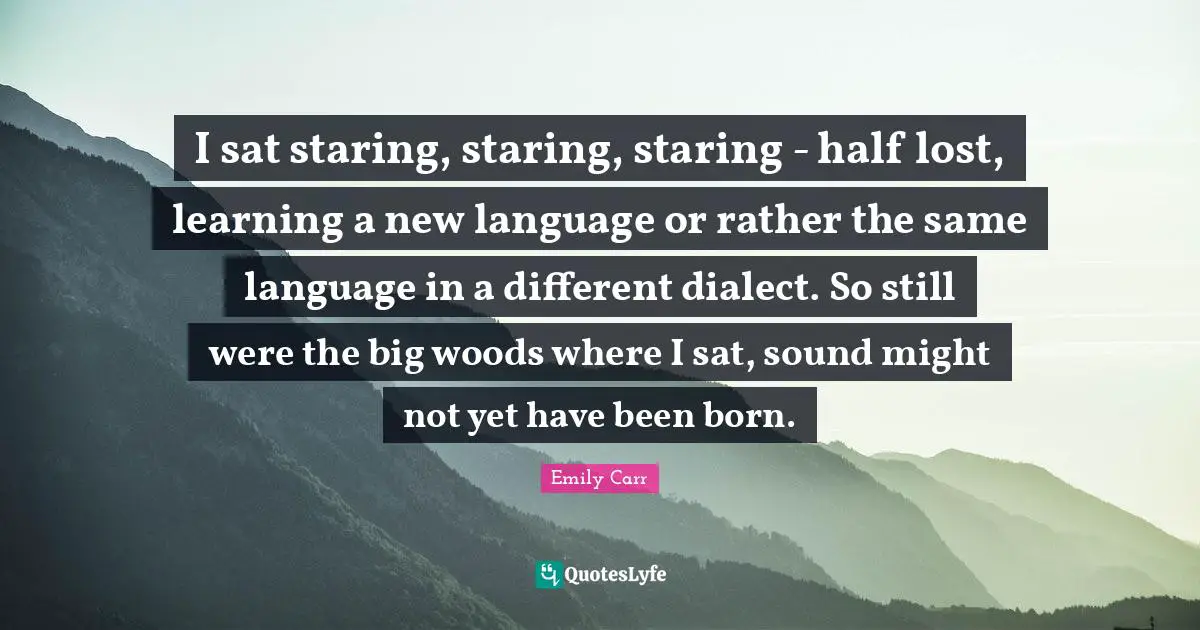 I sat staring, staring, staring - half lost, learning a new language or rather the same language in a different dialect. So still were the big woods where I sat, sound might not yet have been born.