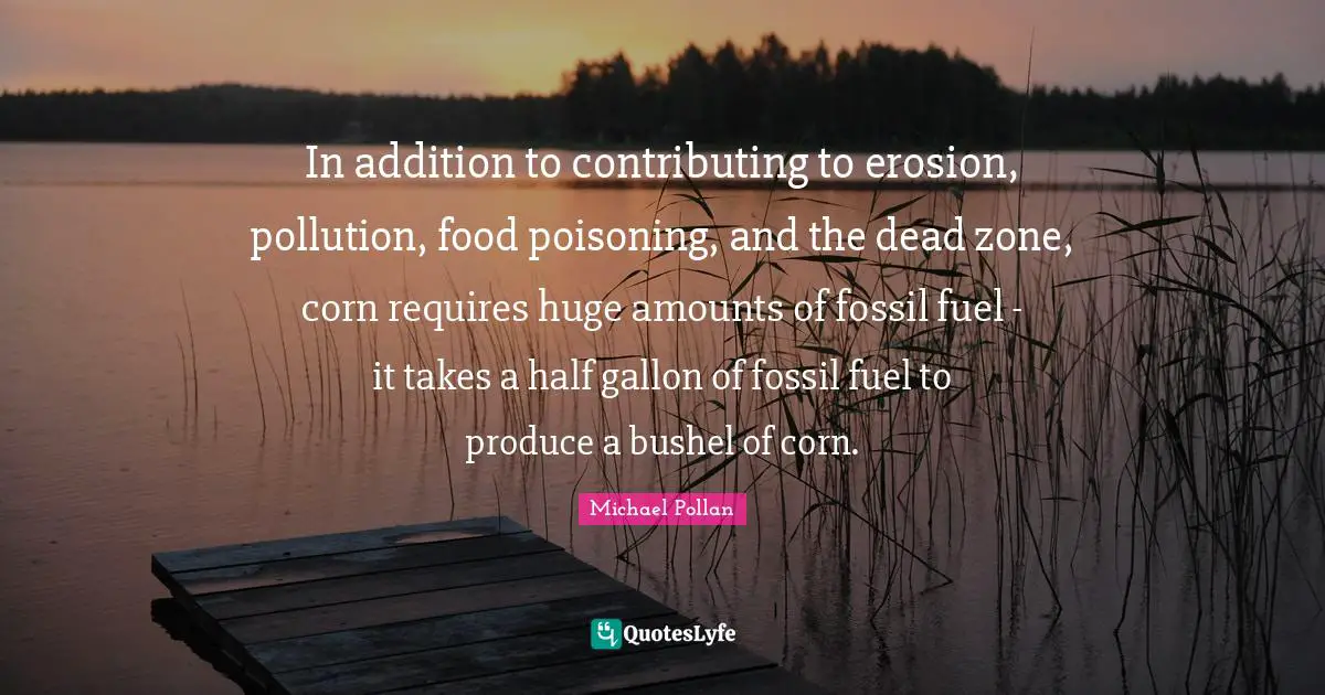Environmental Quotes: "In addition to contributing to erosion, pollution, food poisoning, and the dead zone, corn requires huge amounts of fossil fuel - it takes a half gallon of fossil fuel to produce a bushel of corn."