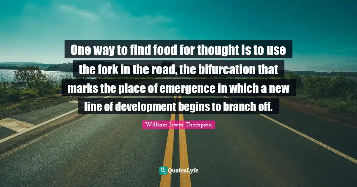 One way to find food for thought is to use the fork in the road, the bifurcation that marks the place of emergence in which a new line of development begins to branch off.