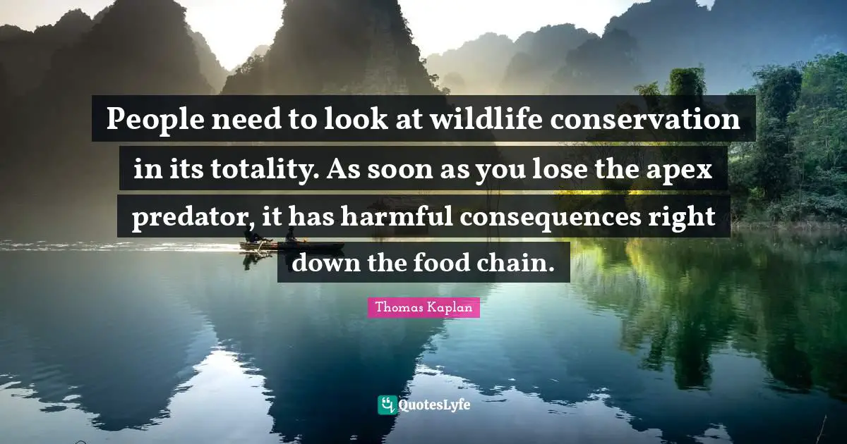 People need to look at wildlife conservation in its totality. As soon as you lose the apex predator, it has harmful consequences right down the food chain.