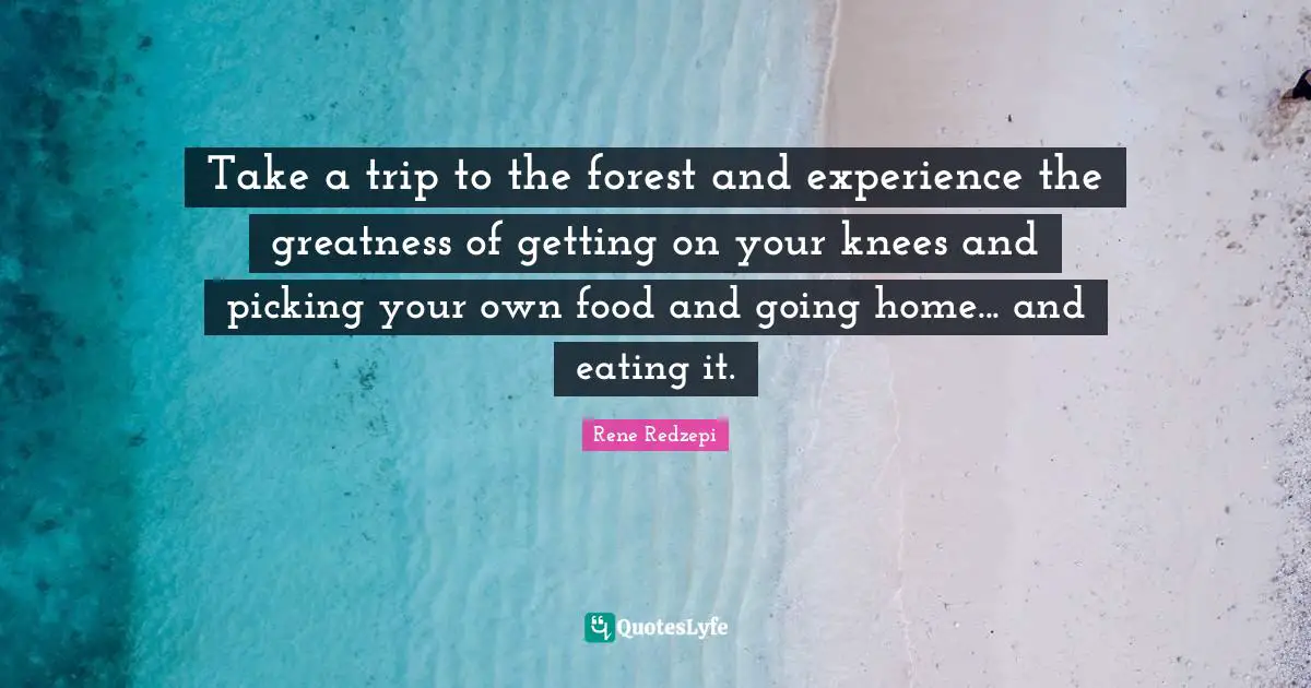 Take a trip to the forest and experience the greatness of getting on your knees and picking your own food and going home... and eating it.