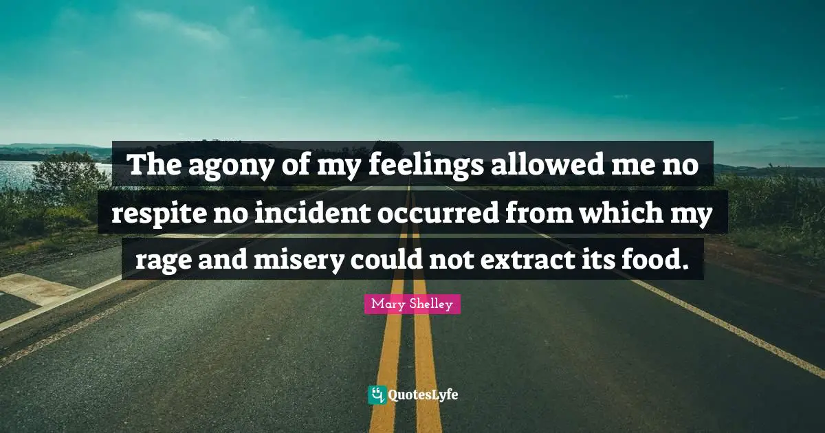 The agony of my feelings allowed me no respite no incident occurred from which my rage and misery could not extract its food.