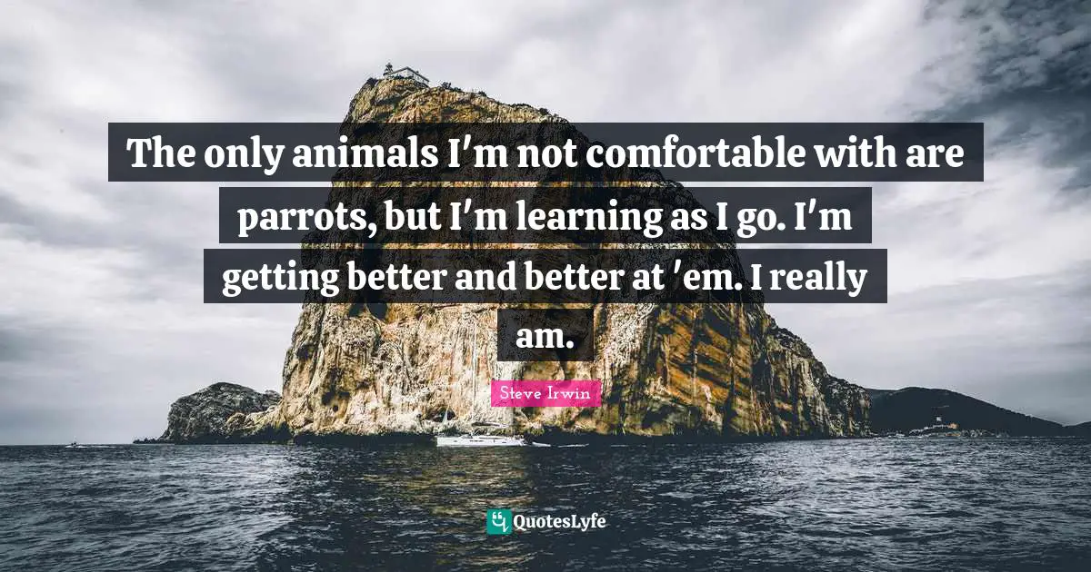 The only animals I'm not comfortable with are parrots, but I'm learning as I go. I'm getting better and better at 'em. I really am.