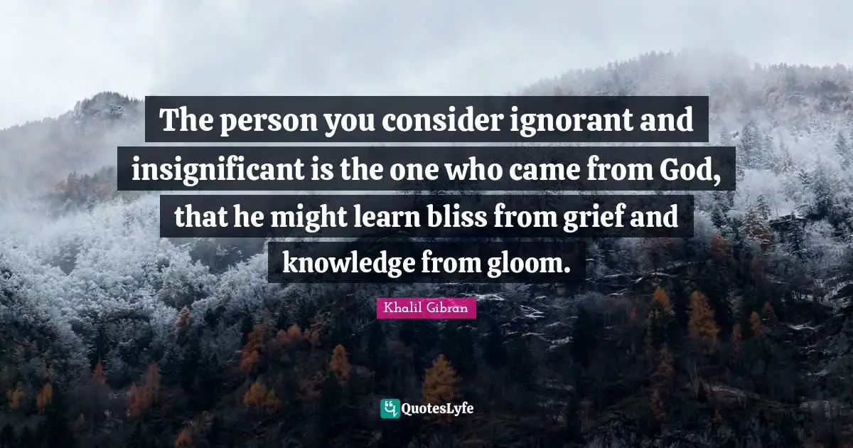 The person you consider ignorant and insignificant is the one who came from God, that he might learn bliss from grief and knowledge from gloom.