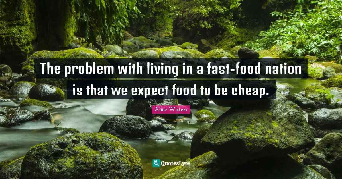 Alice Waters Quotes: "The problem with living in a fast-food nation is that we expect food to be cheap."