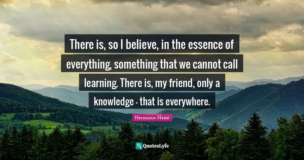 There is, so I believe, in the essence of everything, something that we cannot call learning. There is, my friend, only a knowledge - that is everywhere.