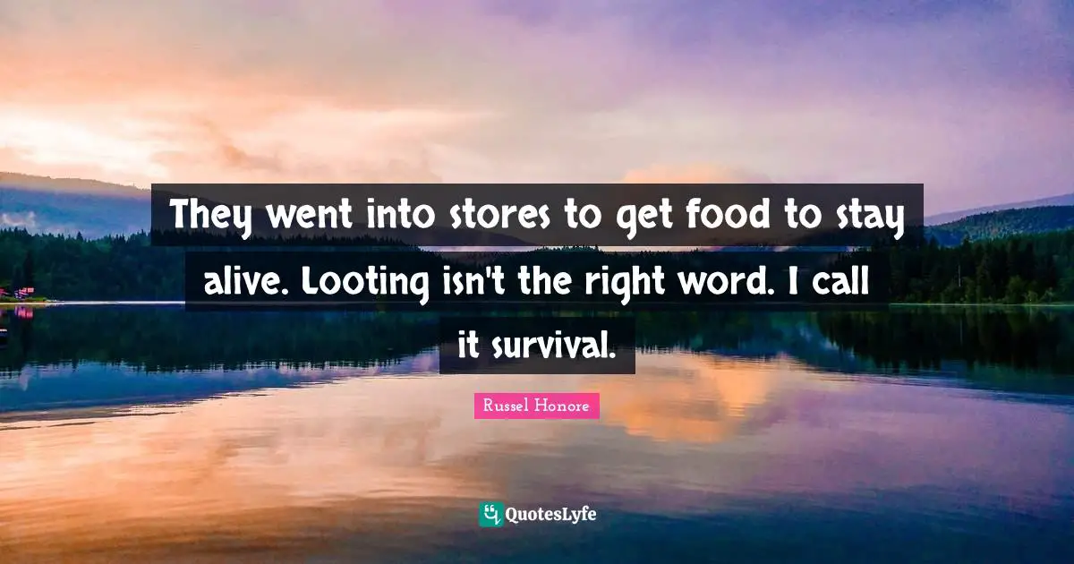 They went into stores to get food to stay alive. Looting isn't the right word. I call it survival.
