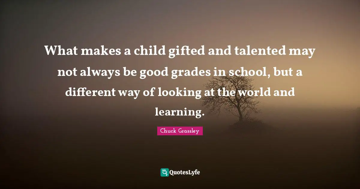 What makes a child gifted and talented may not always be good grades in school, but a different way of looking at the world and learning.