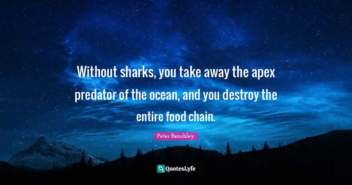 Without sharks, you take away the apex predator of the ocean, and you destroy the entire food chain.