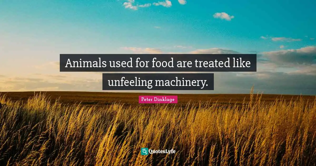 Animals used for food are treated like unfeeling machinery.