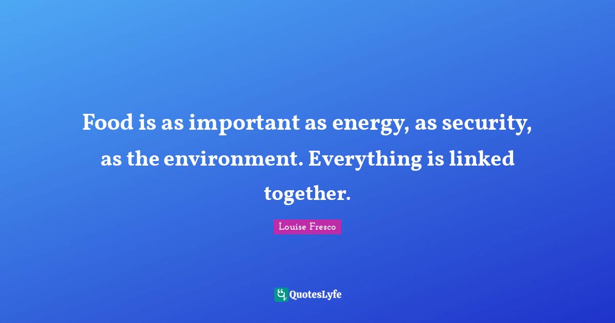 Food is as important as energy, as security, as the environment. Everything is linked together.