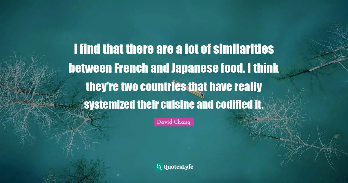 I find that there are a lot of similarities between French and Japanese food. I think they're two countries that have really systemized their cuisine and codified it.