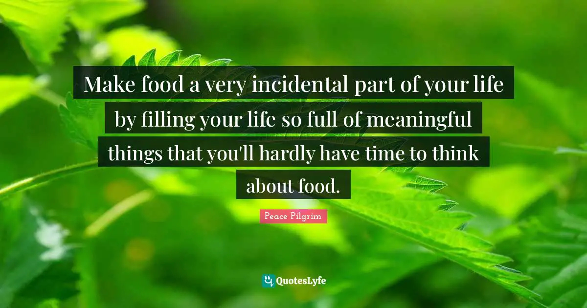 Make food a very incidental part of your life by filling your life so full of meaningful things that you'll hardly have time to think about food.