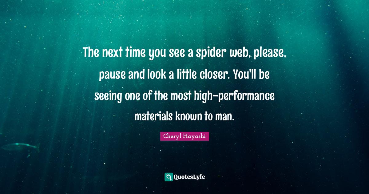 The next time you see a spider web, please, pause and look a little closer. You'll be seeing one of the most high-performance materials known to man.