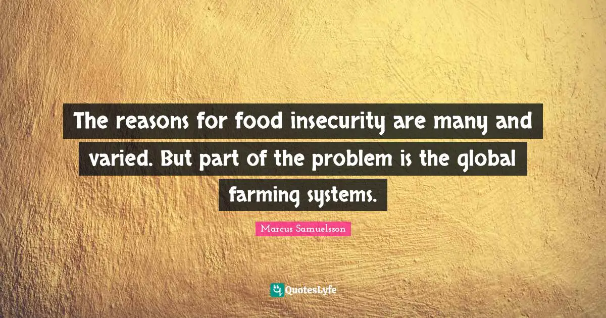 The reasons for food insecurity are many and varied. But part of the problem is the global farming systems.