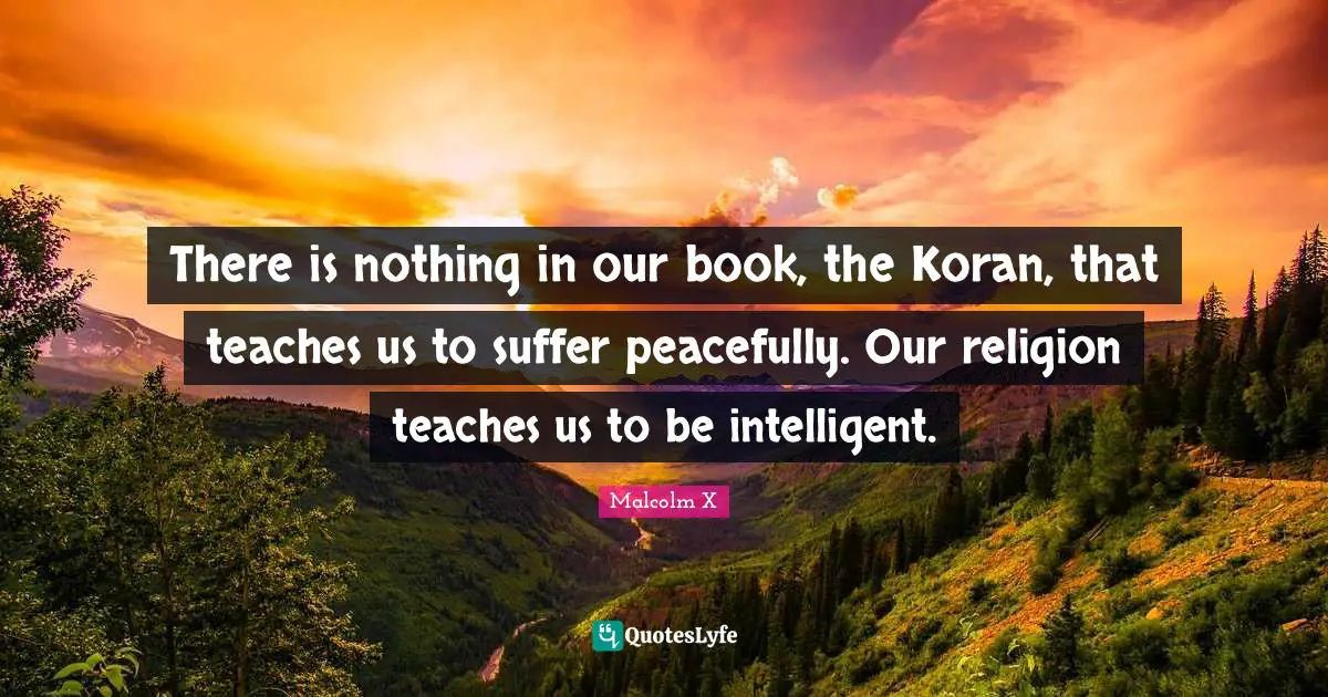 There is nothing in our book, the Koran, that teaches us to suffer peacefully. Our religion teaches us to be intelligent.