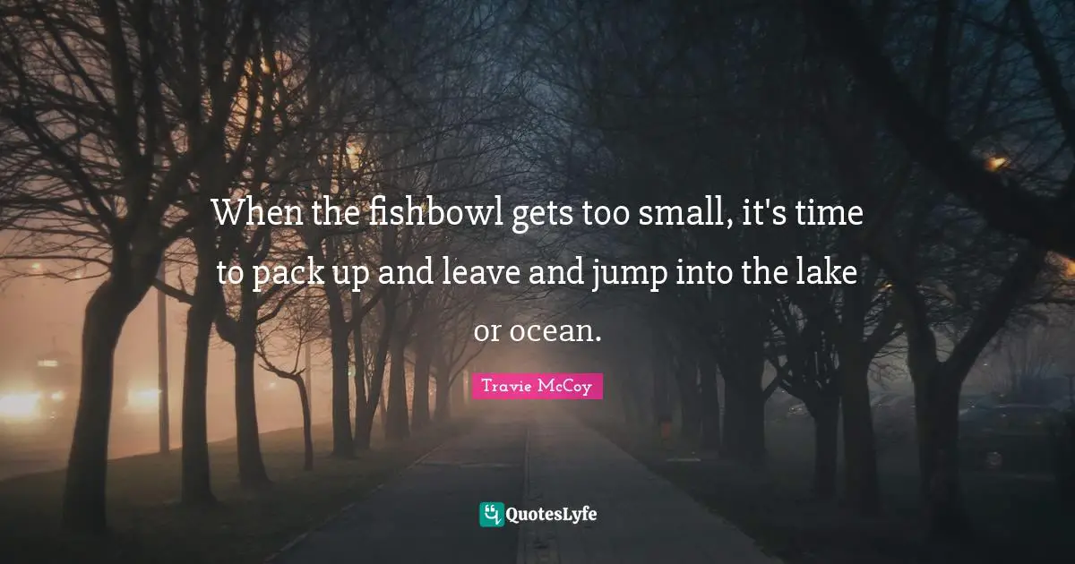 When the fishbowl gets too small, it's time to pack up and leave and jump into the lake or ocean.