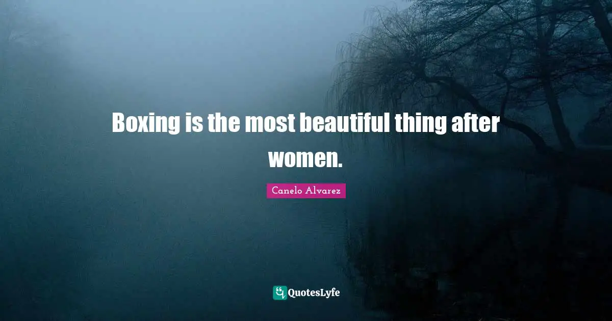 Boxing is the most beautiful thing after women.
