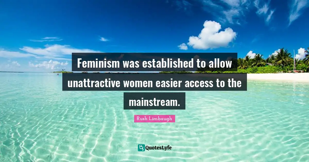 Feminism was established to allow unattractive women easier access to the mainstream.
