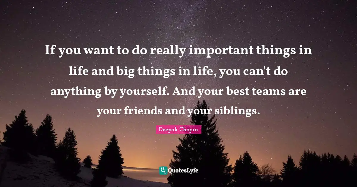 If you want to do really important things in life and big things in life, you can't do anything by yourself. And your best teams are your friends and your siblings.