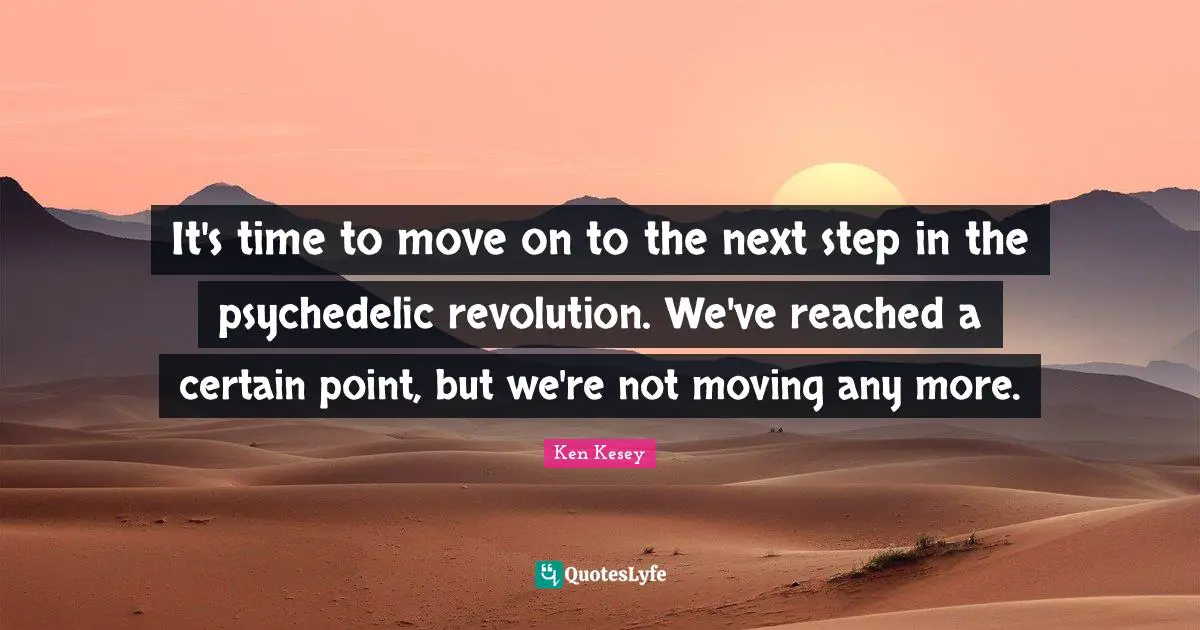 It's time to move on to the next step in the psychedelic revolution. We've reached a certain point, but we're not moving any more.