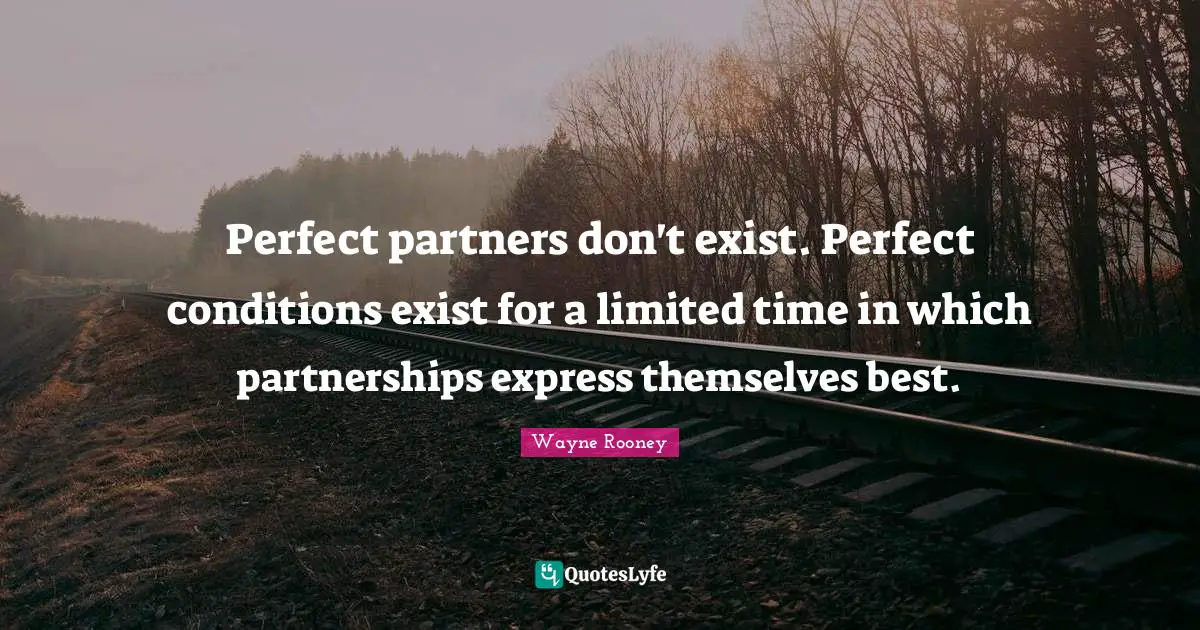 Perfect partners don't exist. Perfect conditions exist for a limited time in which partnerships express themselves best.