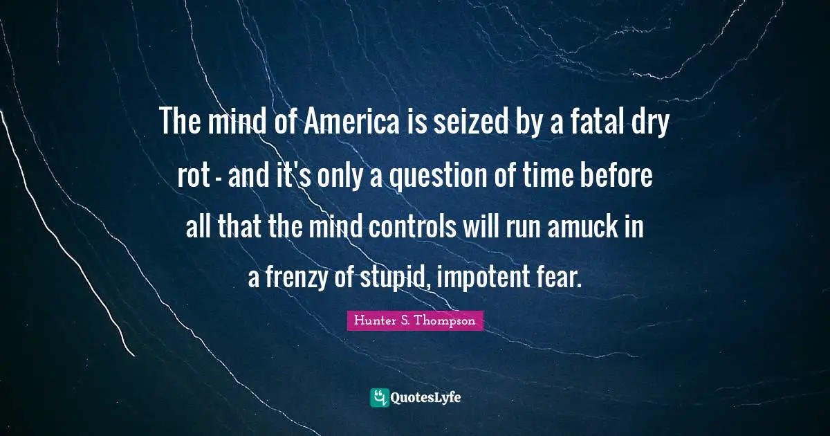 The mind of America is seized by a fatal dry rot - and it's only a question of time before all that the mind controls will run amuck in a frenzy of stupid, impotent fear.
