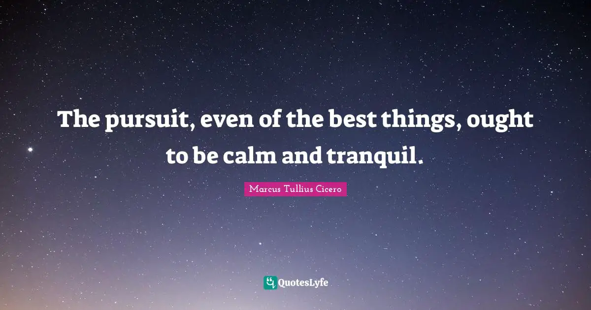 The pursuit, even of the best things, ought to be calm and tranquil.