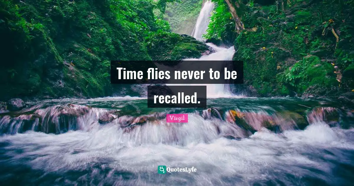 Time Flies Quotes: "Time flies never to be recalled."