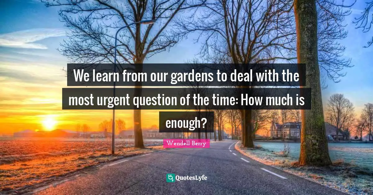 We learn from our gardens to deal with the most urgent question of the time: How much is enough?