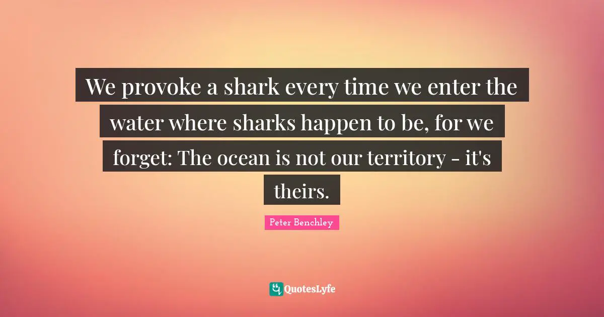 We provoke a shark every time we enter the water where sharks happen to be, for we forget: The ocean is not our territory - it's theirs.