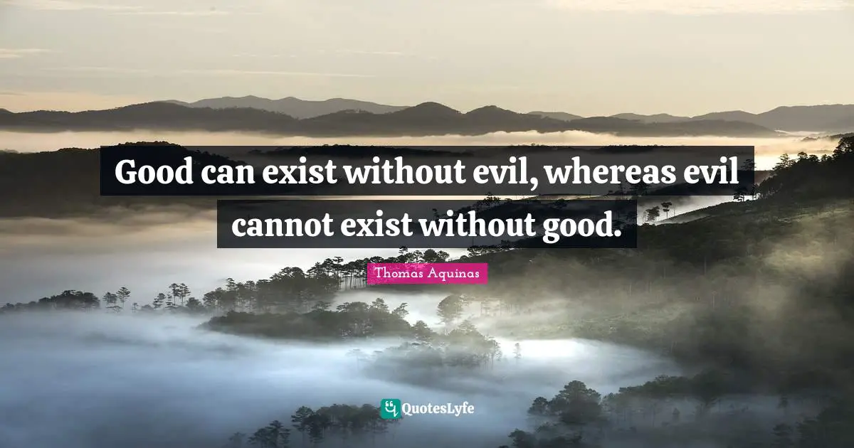 Co Exist Quotes: "Good can exist without evil, whereas evil cannot exist without good."