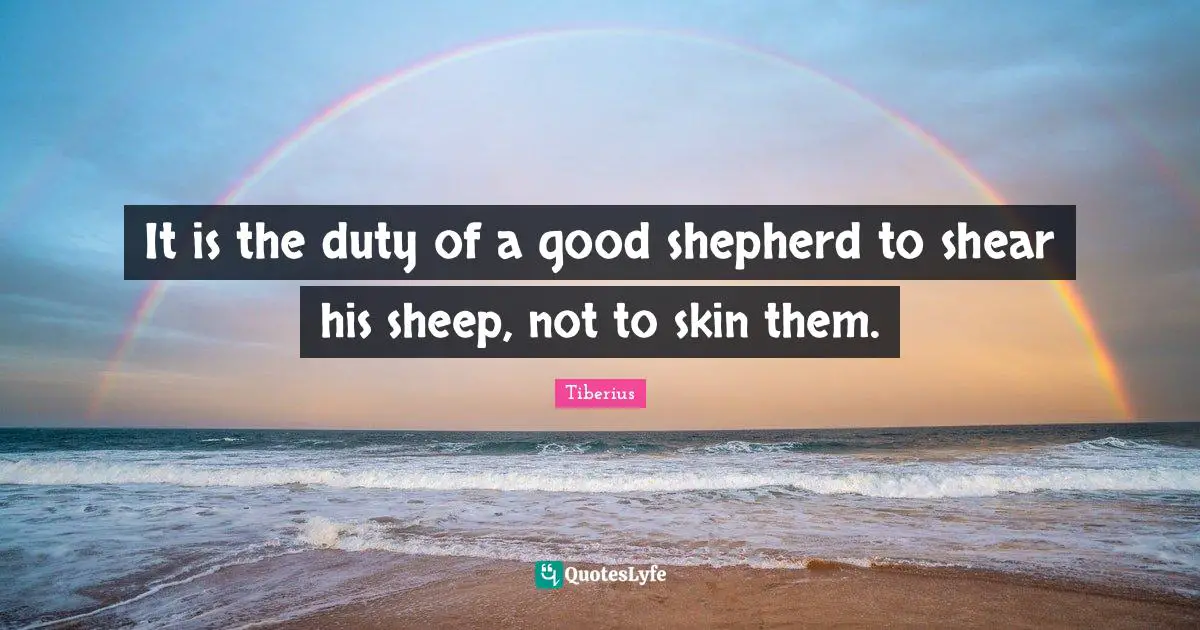 It is the duty of a good shepherd to shear his sheep, not to skin them.